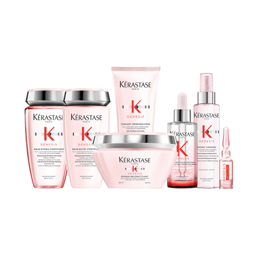 Spray Defense Thermique Blow Dry Primer