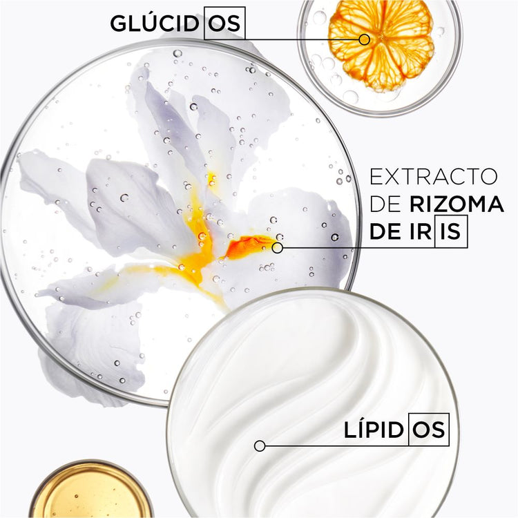 Acondicionador Lait Vital